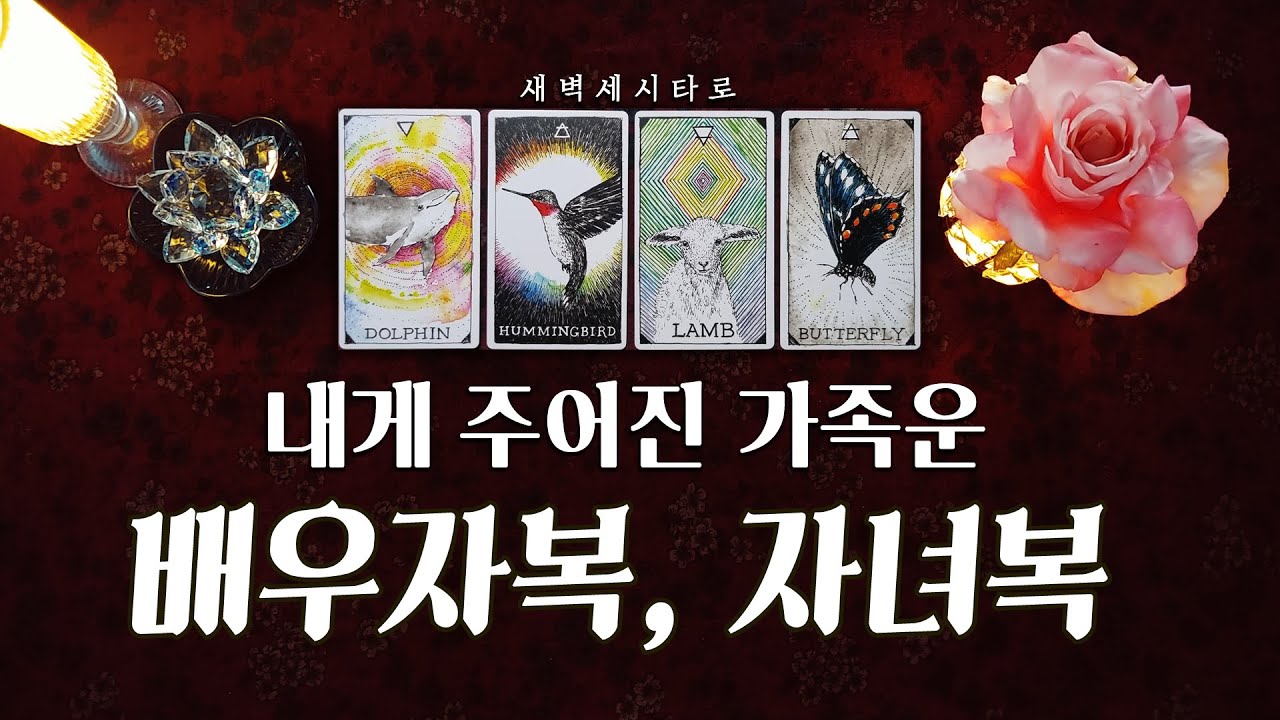 [타로🔮] 내게 주어진 가족 운🍀 배우자 福, 자녀 福