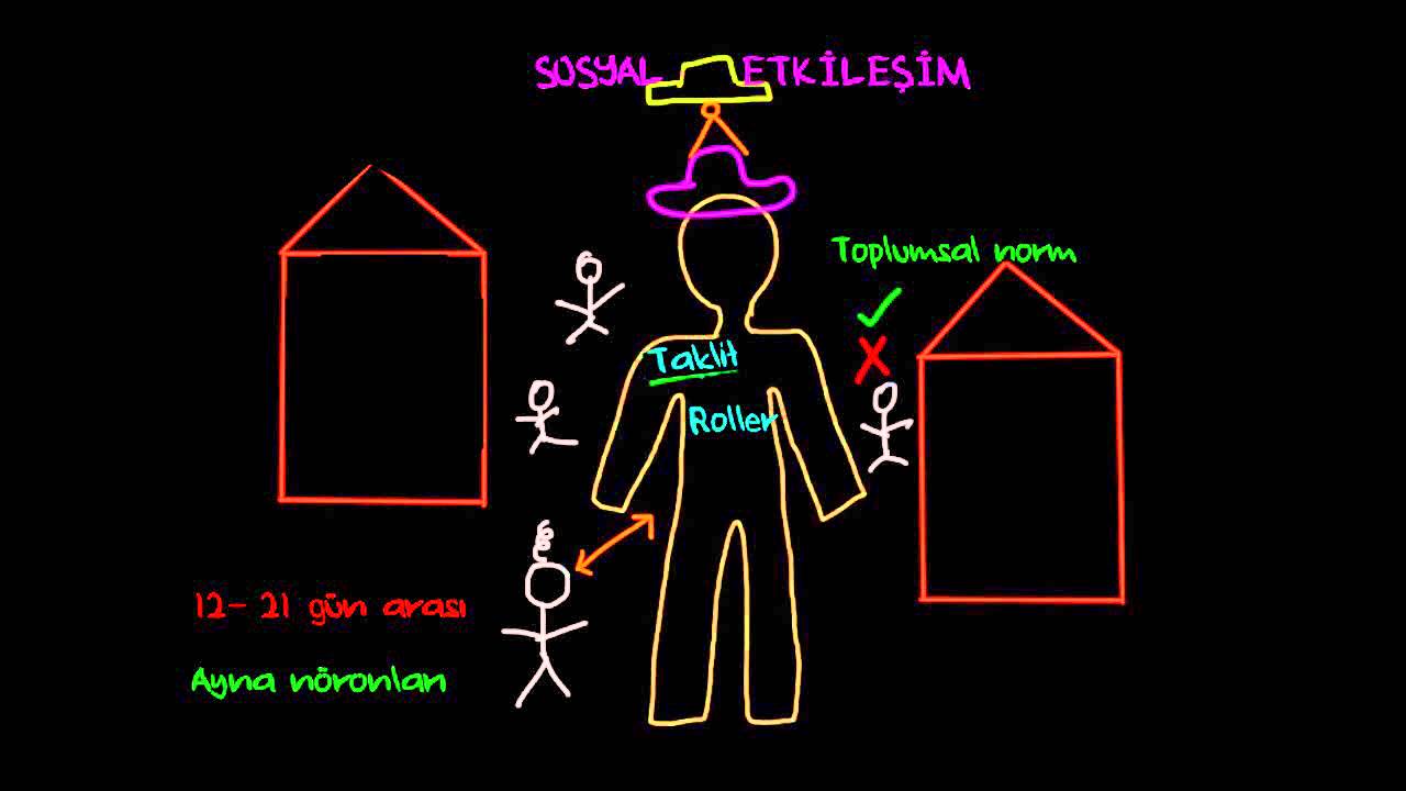 Sosyal Etki (Sosyoloji / Bireyler ve Toplum)