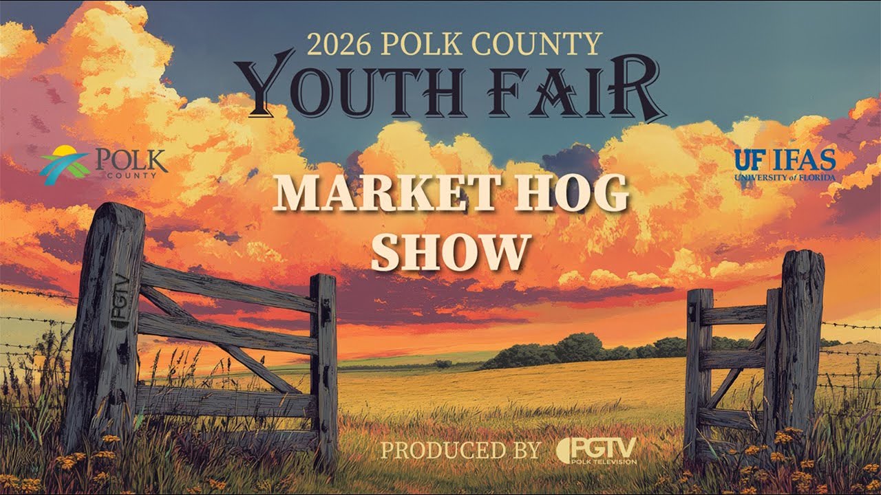 Youth Fair 2026 - Market Hog Show 2