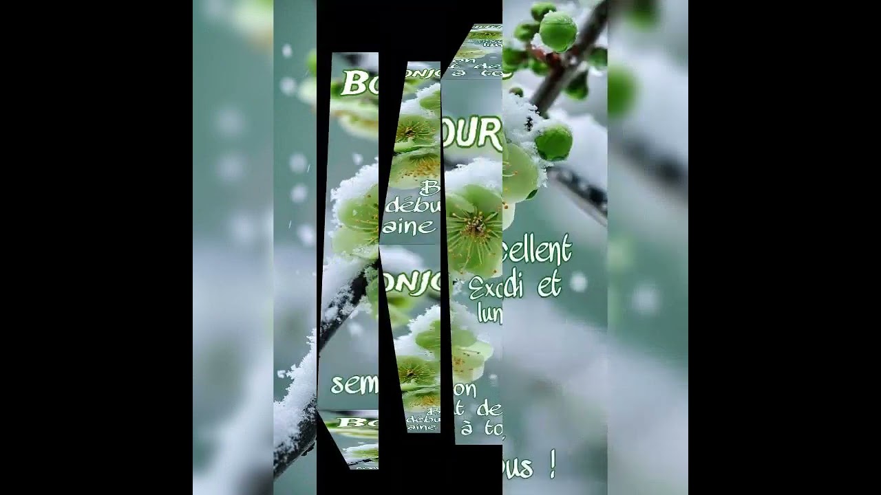 6 février 2026