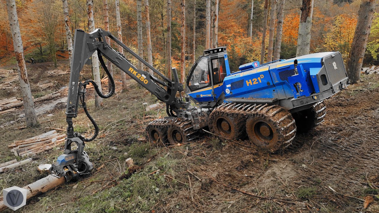 🌲 ROTTNE H21D im starken Fichtenbestand | Forstbetrieb Limper [4K]