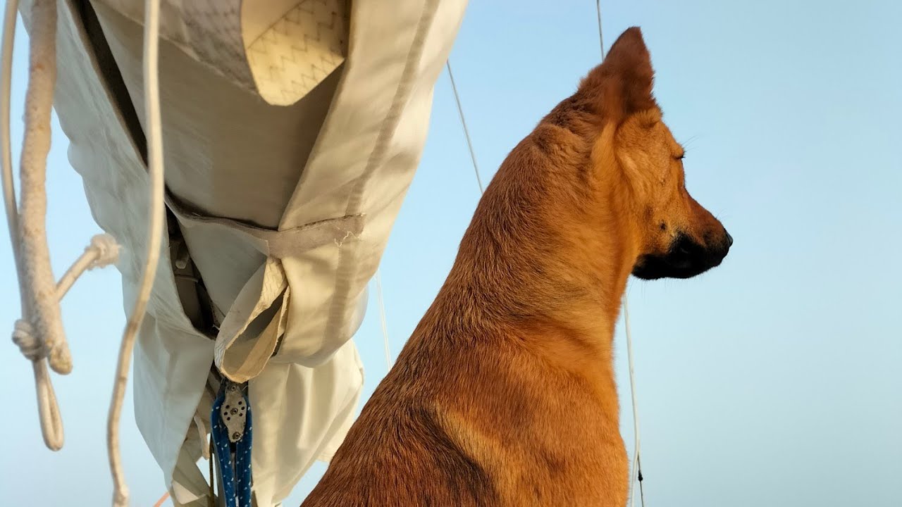 Cabotage autour de La Rochelle, Coup de Vent, Mal de Mer et Chiens Marins en First18