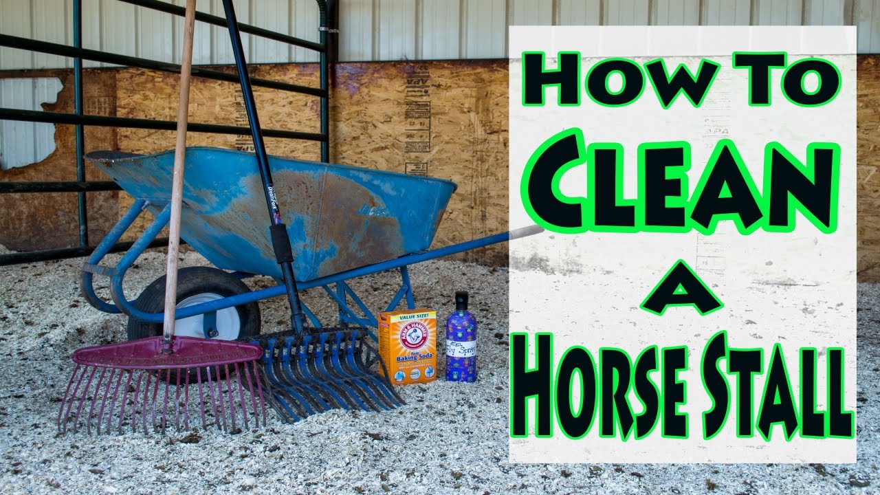 How To Clean A Horse Stall