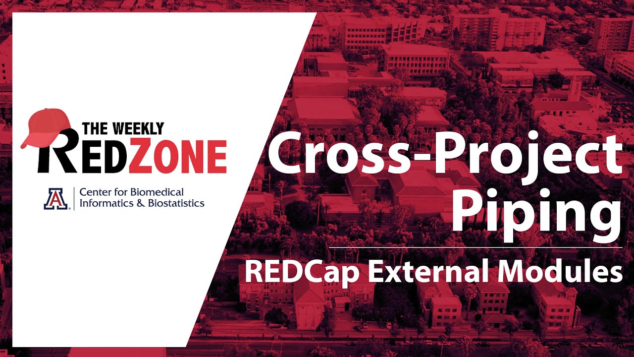 REDZone - Межпроектные трубопроводные системы