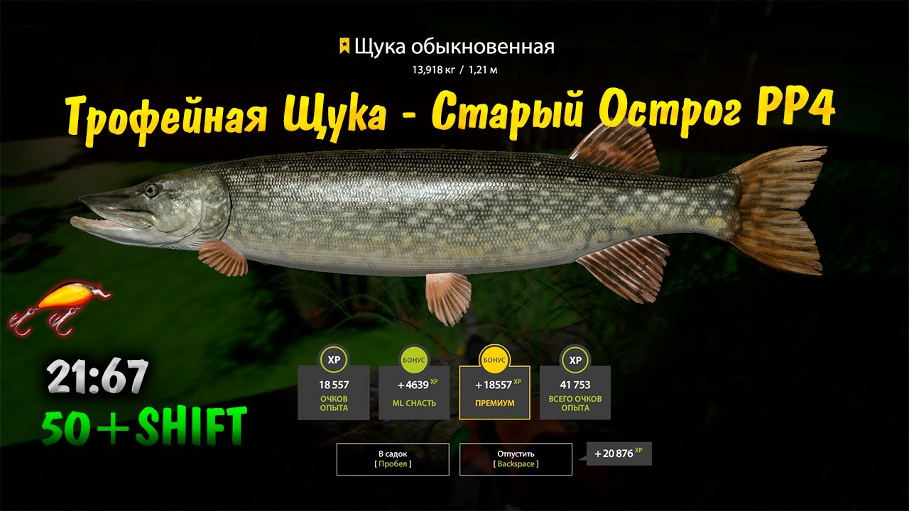 Русская рыбалка 4 - в поисках трофея, трофейная Щука. о. Старый Острог #рр4