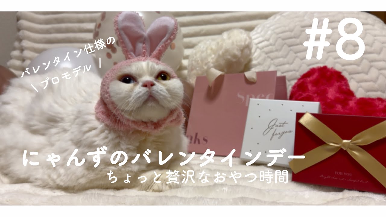 【バレンタイン】 特別なおやつを用意したら、こんな反応に…