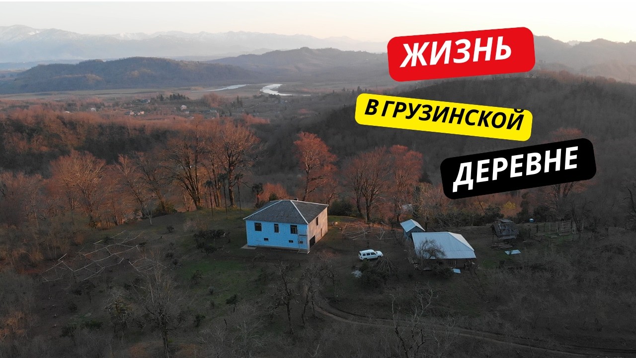 Жизнь в грузинской деревне 🇬🇪 | РЕМОНТ 🔨 и необычное растение из Новой Зеландии 🌿
