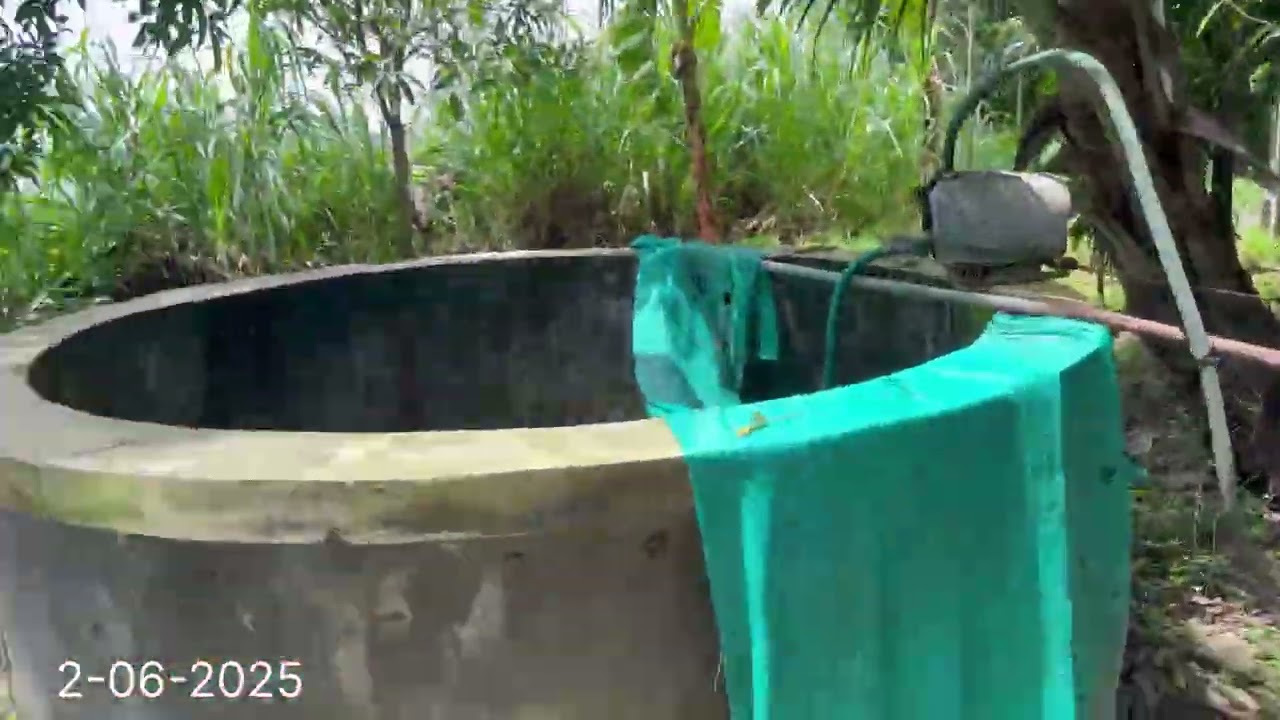 Greenland Farm Kanjany Thrissur