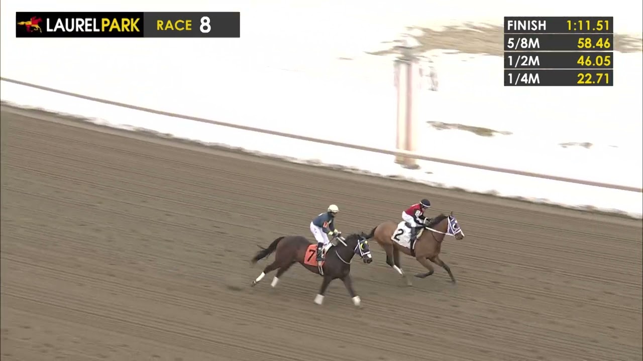LAUREL PARK 2026-02-06 PL#08_RACE 8