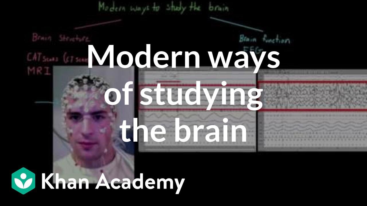 Modern ways of studying the brain | Organ Systems | MCAT | Khan Academy
