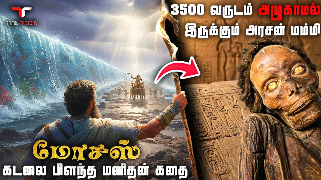 மோசஸ் கடலை பிளந்த ஆதாரங்கள் | உண்மையில் வாழ்ந்தவரா மூஸா நபி | Moses Story Tamil | #moses #firon