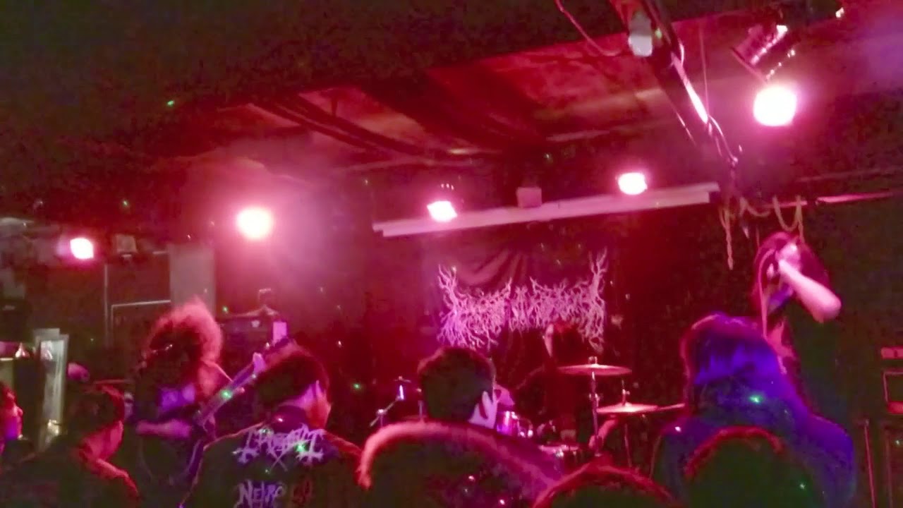 Shinda Saibo No Katamari (2/24/2018 Show in KOREA)