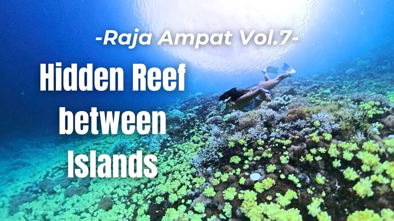 Swimming from Kri to Yenbuba Jetty | Raja Ampat Vol.7