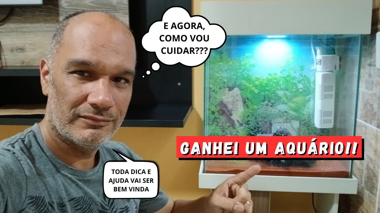 ✅CONTANDO A HISTÓRIA DESSE AQUÁRIO🐟🐠🐙QUE VAMOS MONTAR - O Quê Precisa Ter Para Montar Um Aquário