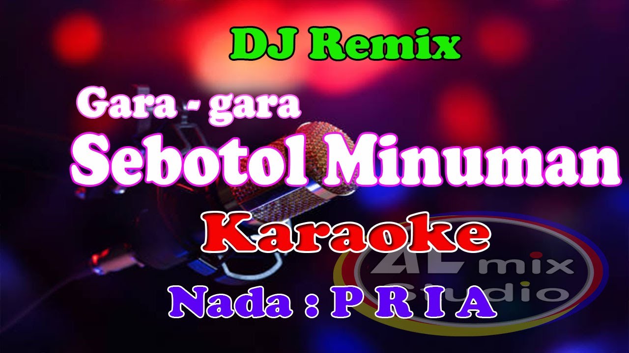 NADA PRIA REMIX - SEBOTOL MINUMAN - KARAOKE