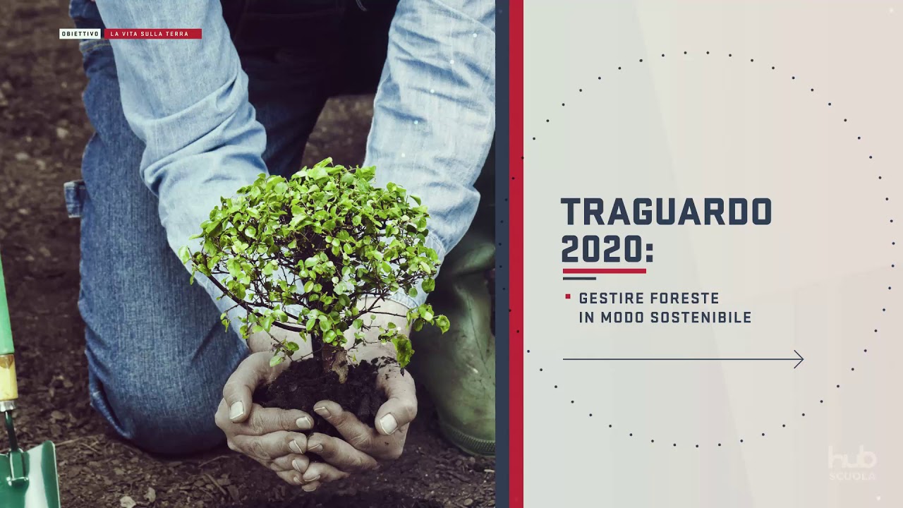 Flora e fauna terrestre: Obiettivo 15 dell'Agenda 2030