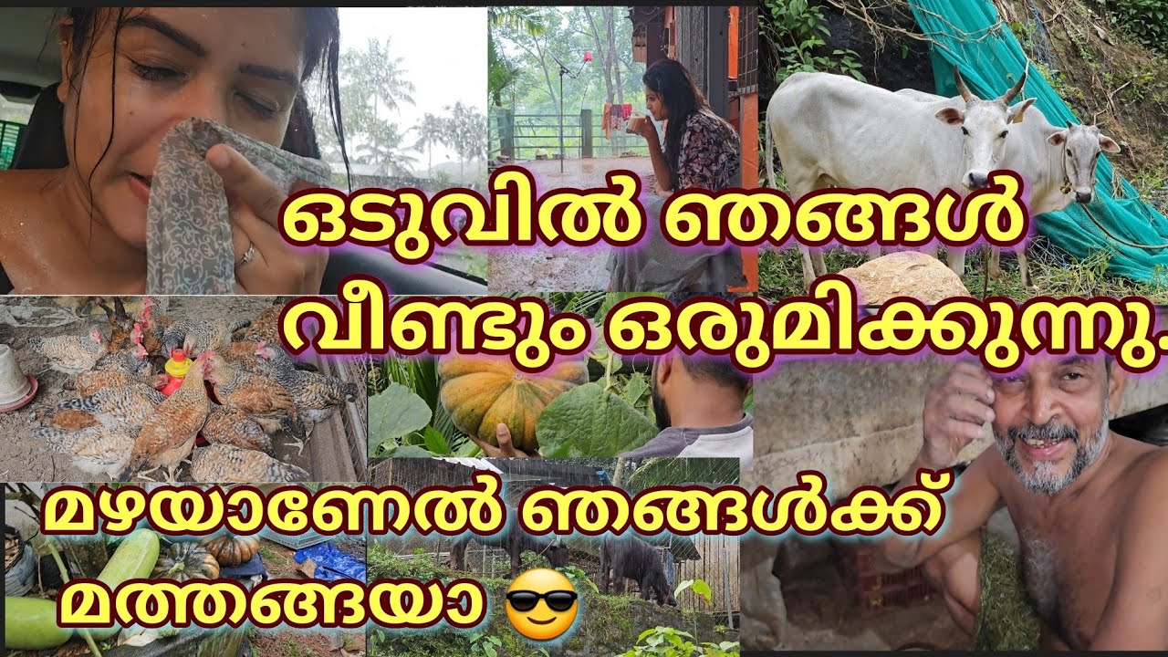 അമ്മയ്ക്കുവേണ്ടി എല്ലാം ഇനി പഴയപോലെ 💞