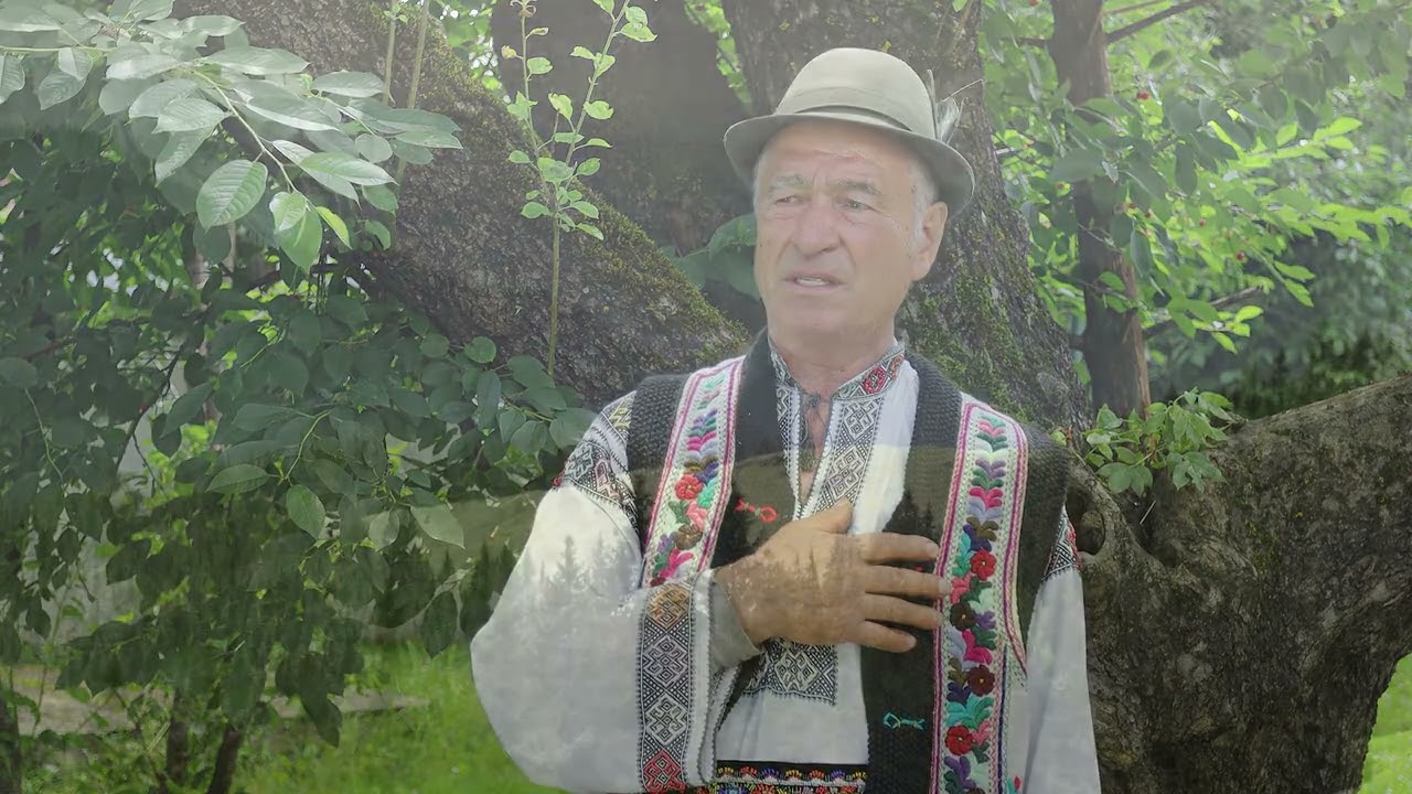 Neculai Gavriliu - Ieși mândrută pân' afară