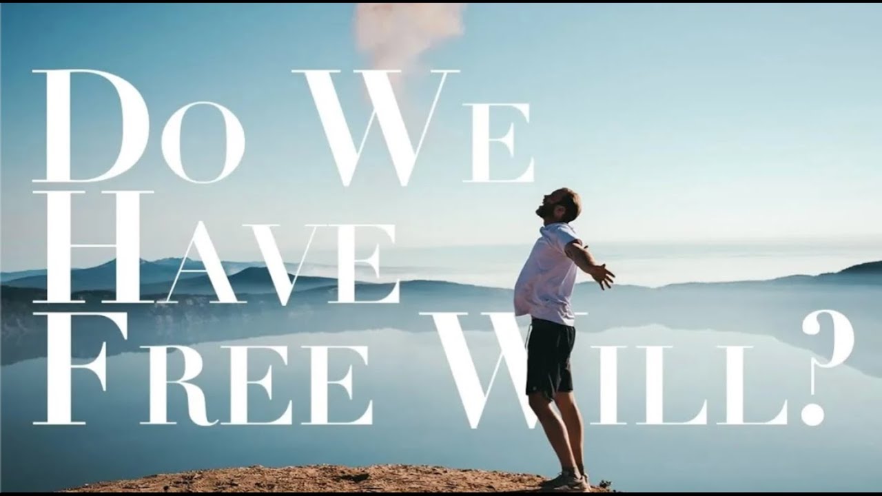 DO WE HAVE FREE WILL?