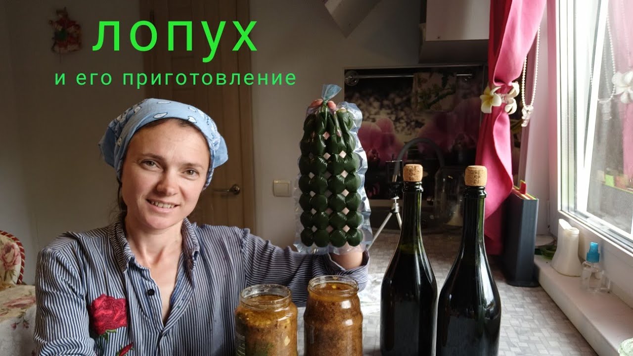 Лопух и его рецепты для здоровья.