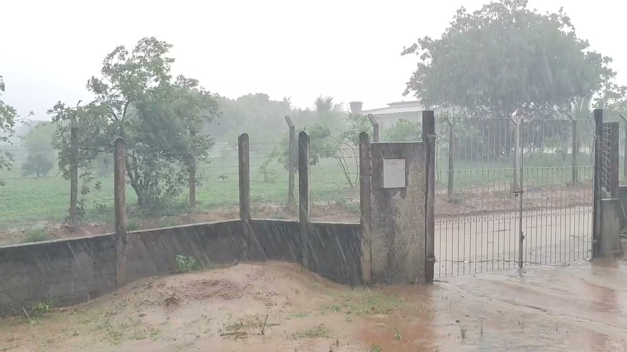 Chuva chegando forte região de Estrela de Alagoas. AL. 01/02/2026