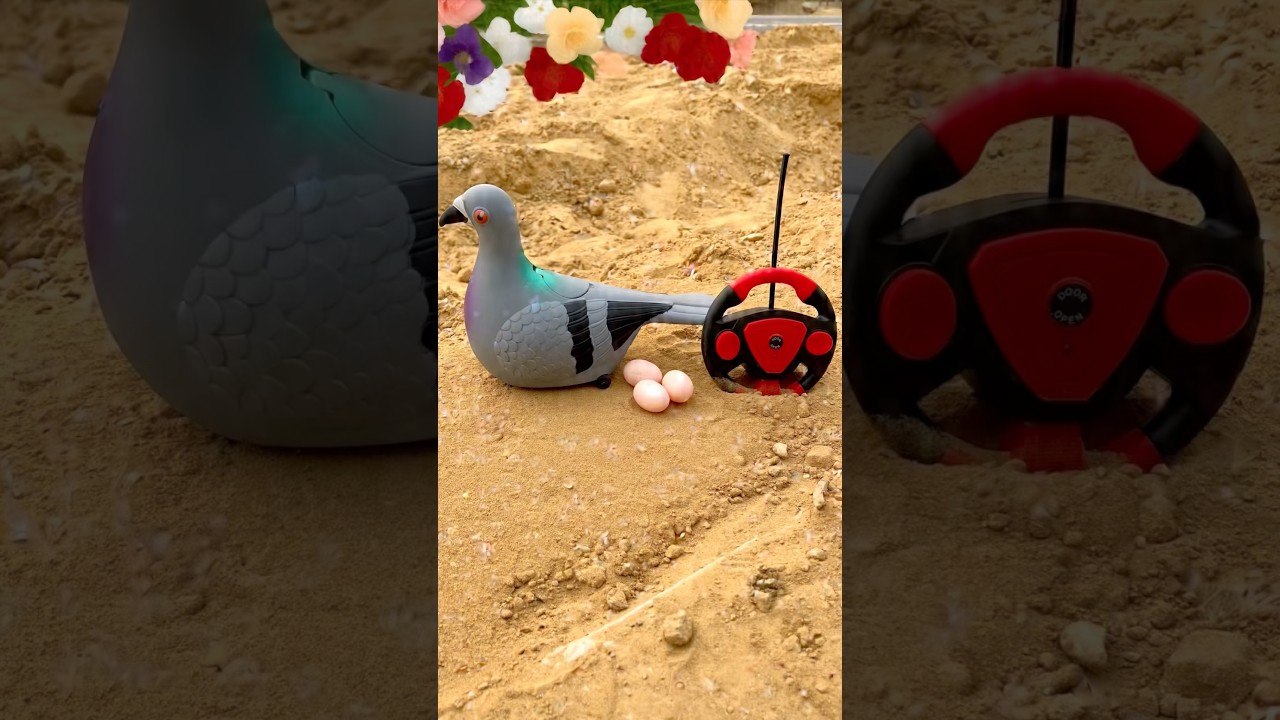 Uitpakken van de Best Egg WLA op afstand bestuurbare vogels ✅