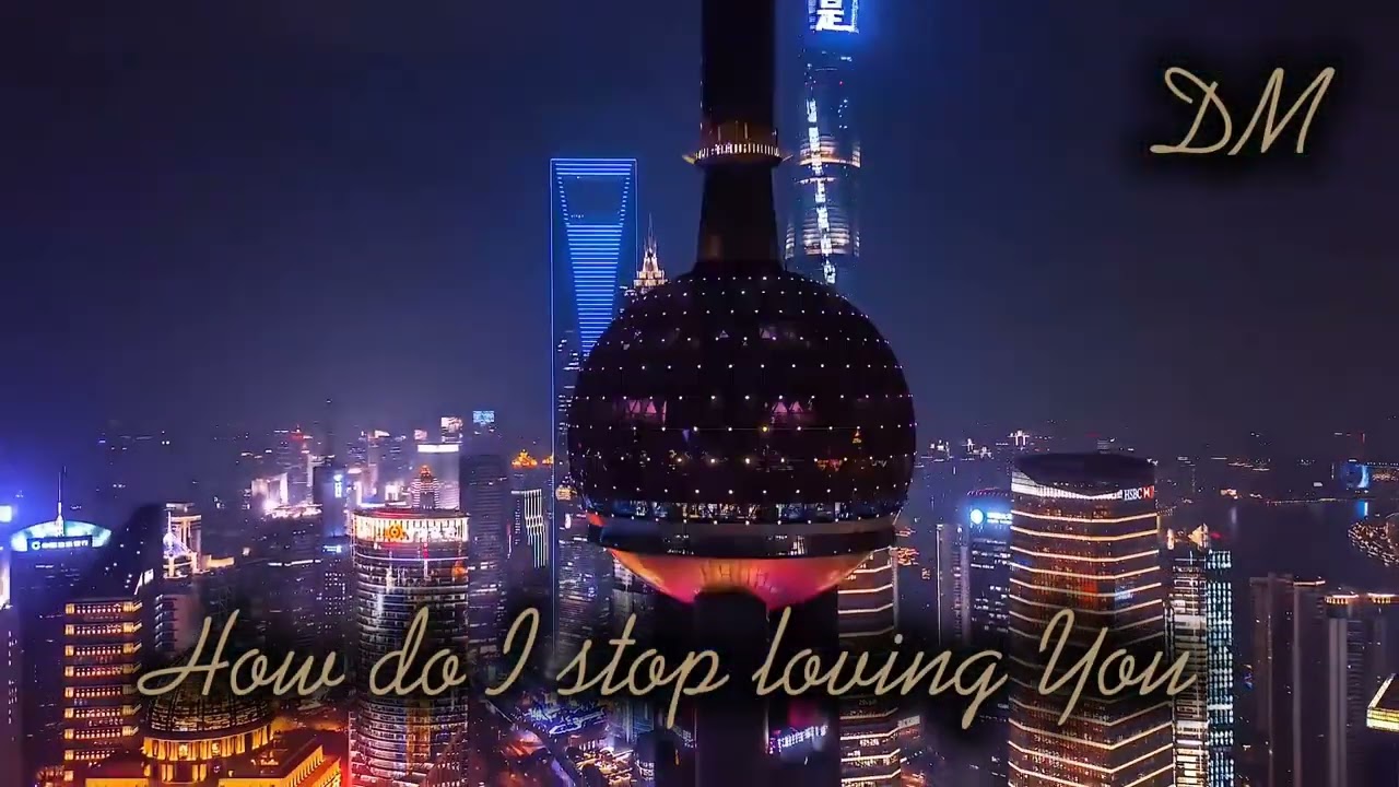 How Do I Stop Loving You Remix DM