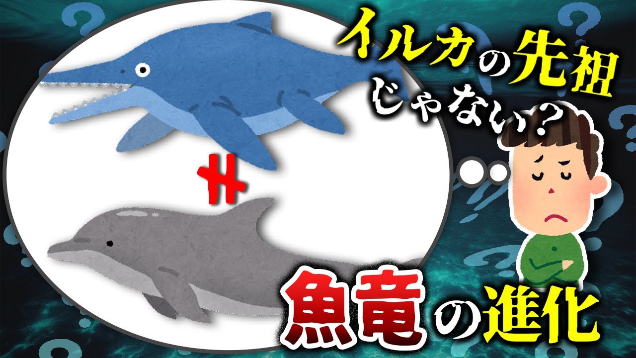 【ゆっくり解説】古代のイルカ？海の中の巨大爬虫類 魚竜の進化