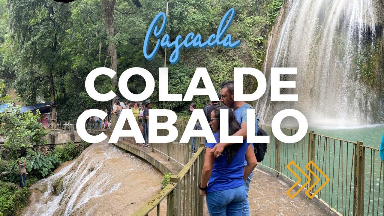 COLA DE CABALLO MONTERREY NUEVO LEON