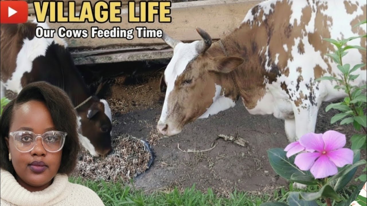 Simple living in the village: My last day at the  village 