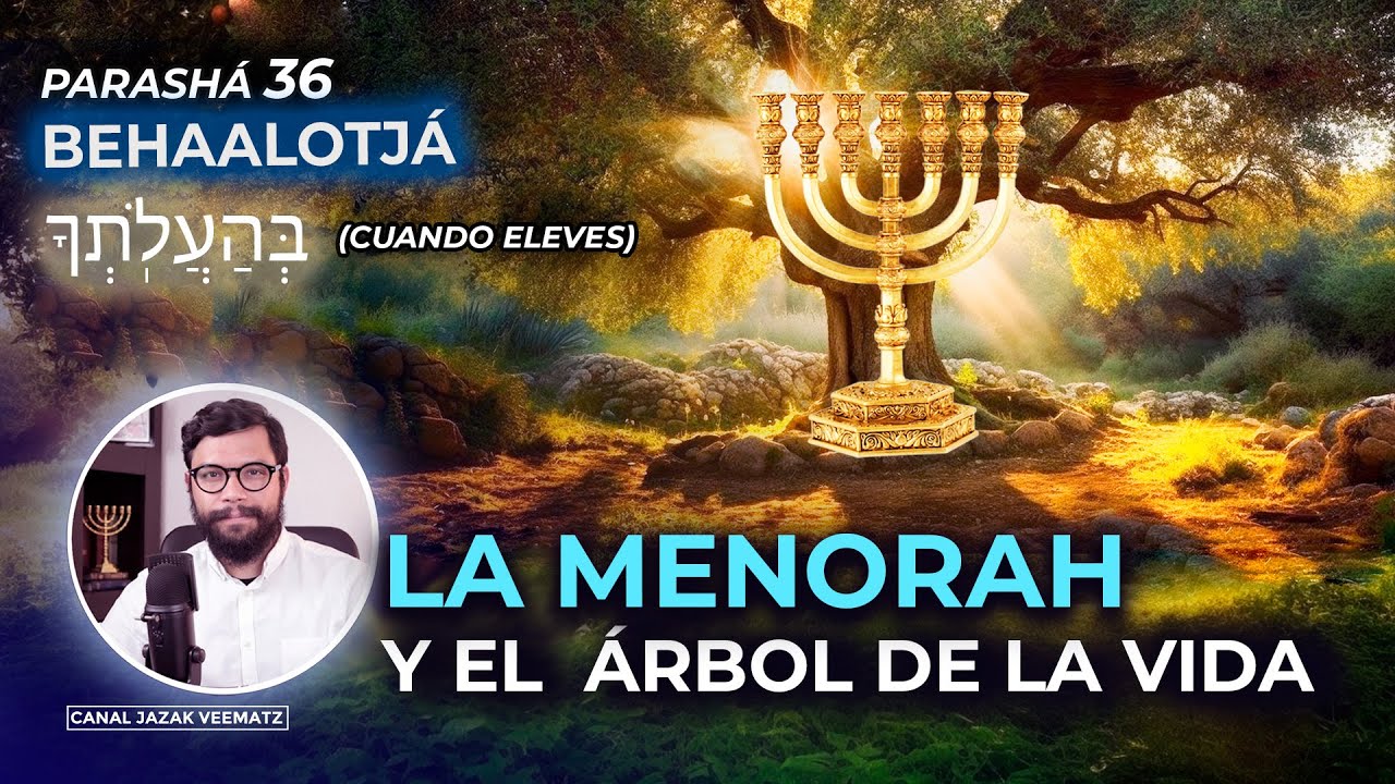 LA MENORAH y el Árbol de la VIDA  | #36 Parashat BAHAALOTJA (Cuando eleves)