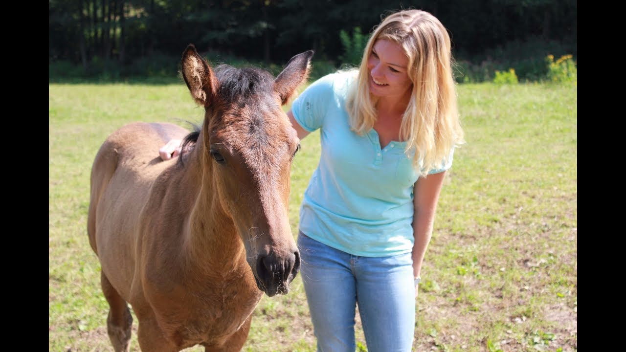 Fohlenliebe & Reiten auf spanischem Deckhengst [Privatgestüt Möningerberg]