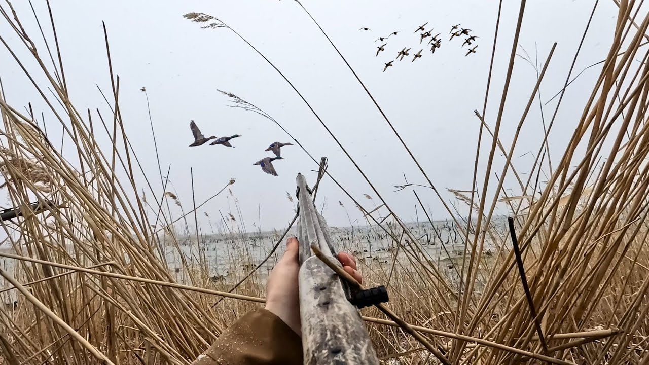 DUCK HUNTING During A SNOWSTORM Migration (Limited Out)