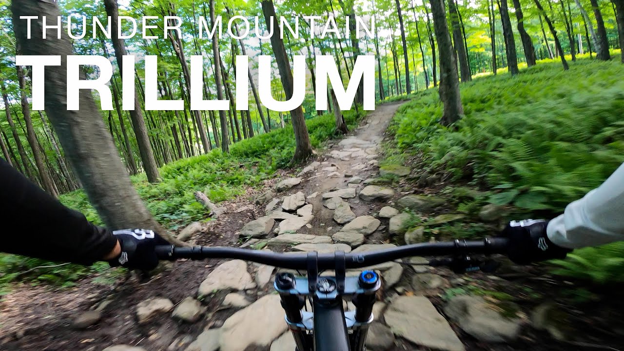 Trillium | Thunder Mountain Bike Park | Massachusetts