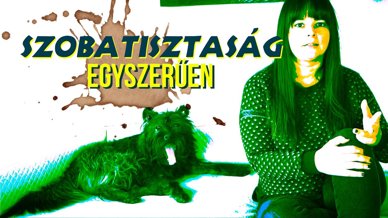 Hogyan tan&iacute;tsd a kuty&aacute;t szobatisztas&aacute;gra?
