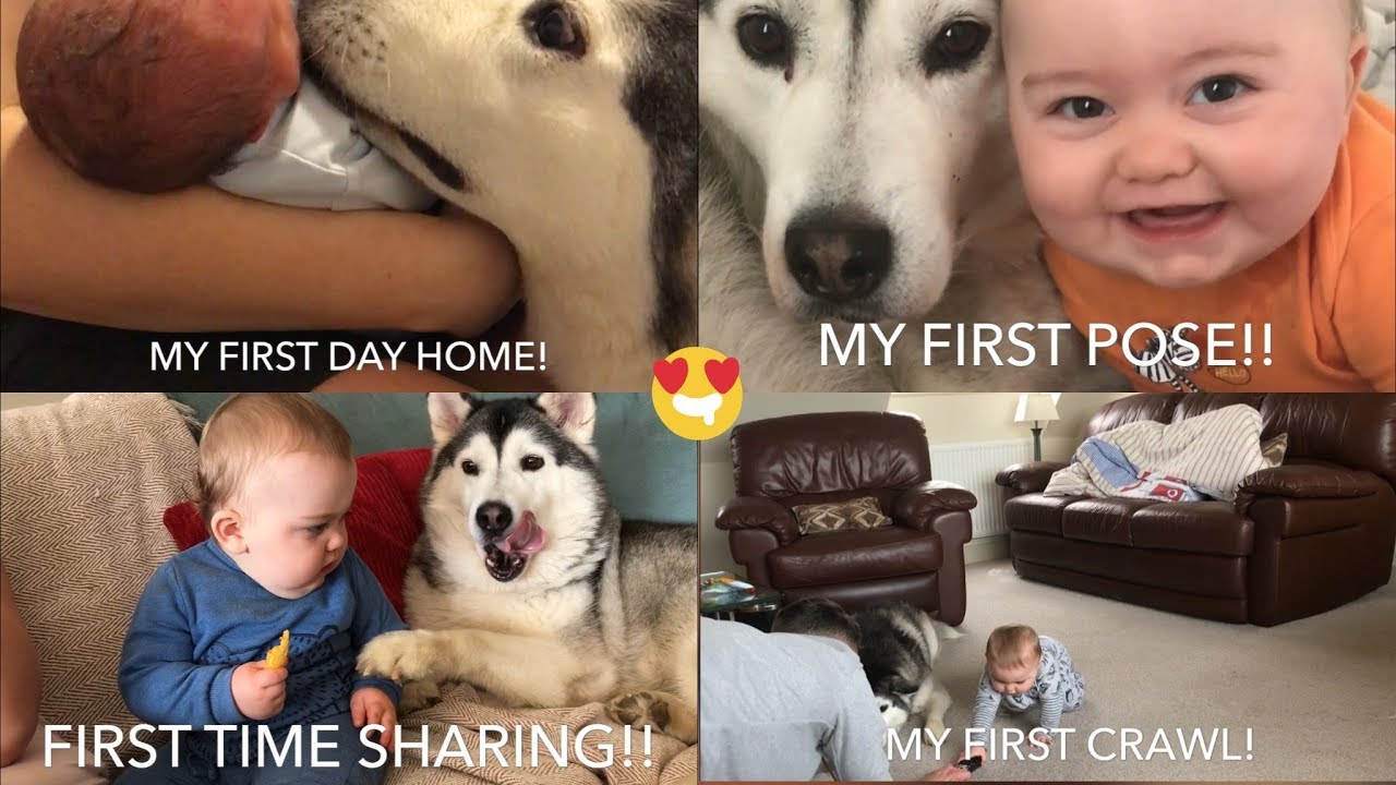 This is how children should grow up! {With a Husky Mum}