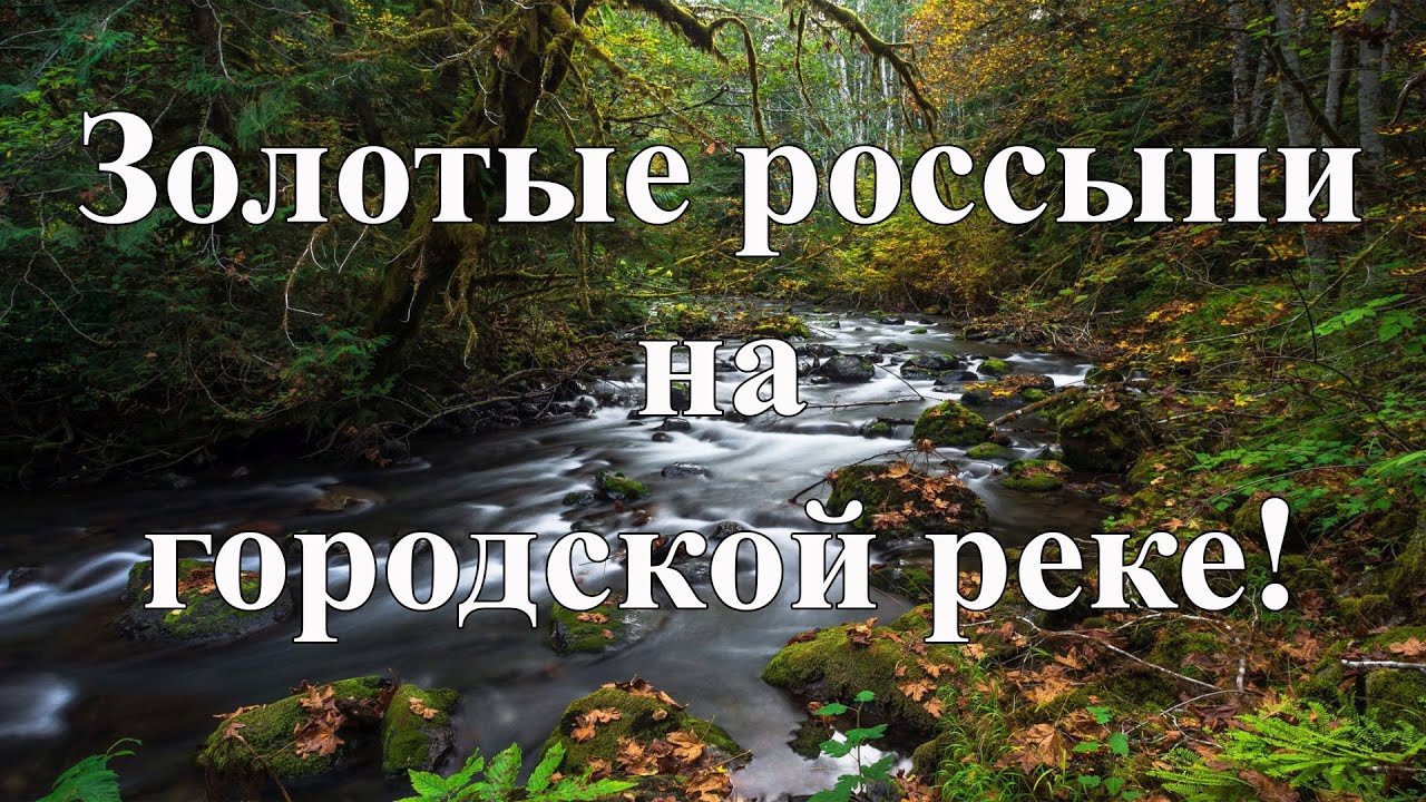 Золотые россыпи на городской реке.