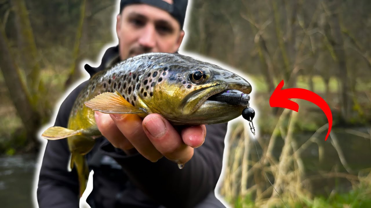 Dieser Köder fängt den Forellenbach leer! 🎣 Angeln auf Forelle mit Chebu und kleinen Gummiködern