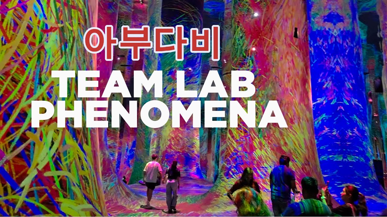 아부다비 아트뮤지업 팀랩 페노메나