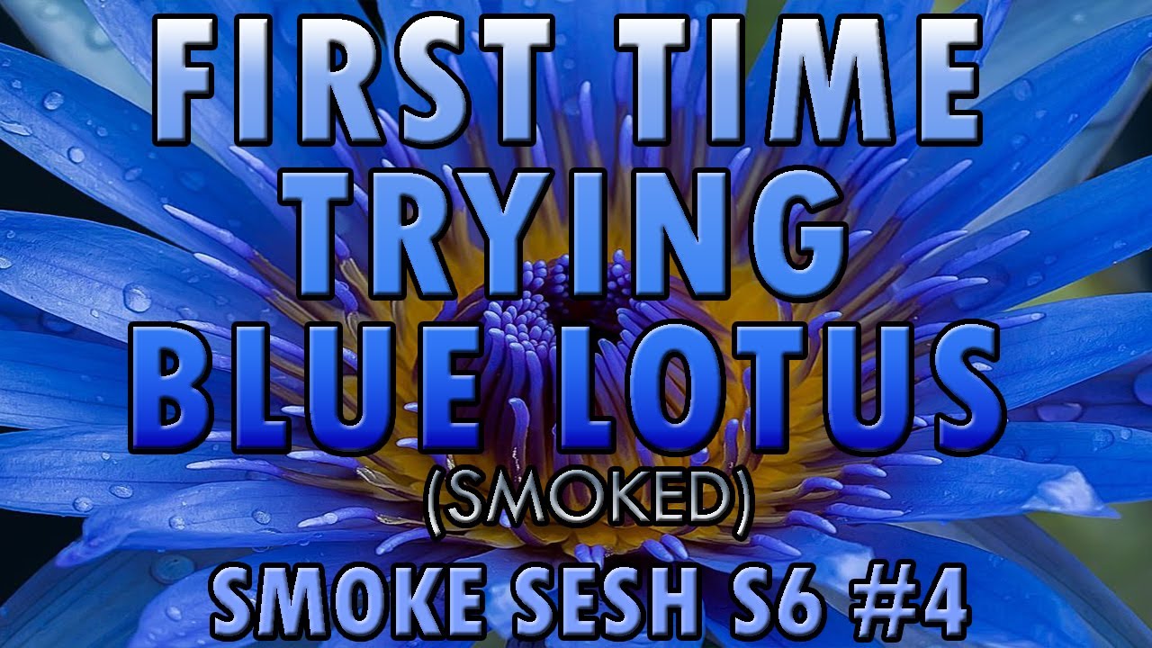 First Time Trying Blue Lotus (Story Time)(Smoke Sesh S6 #4)