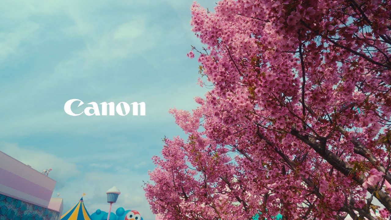 Canon R8 Osaka 4k | Cinematic Video in 2024