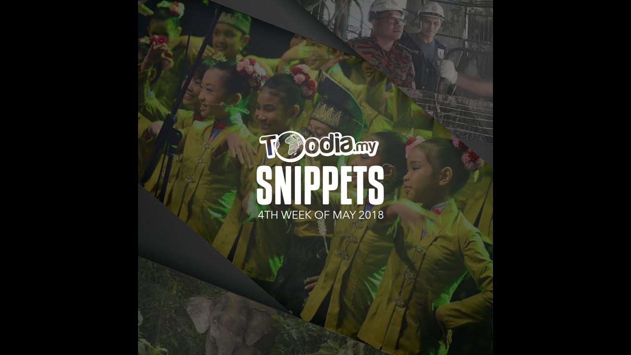 Toodia Snippets May Forth week 2018