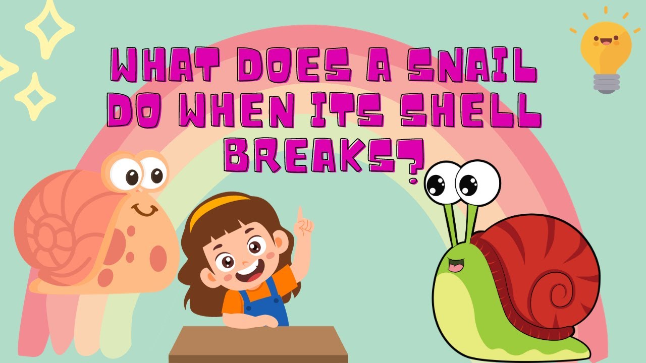 The Amazing Secret of Snails: How They Fix Their Shells!