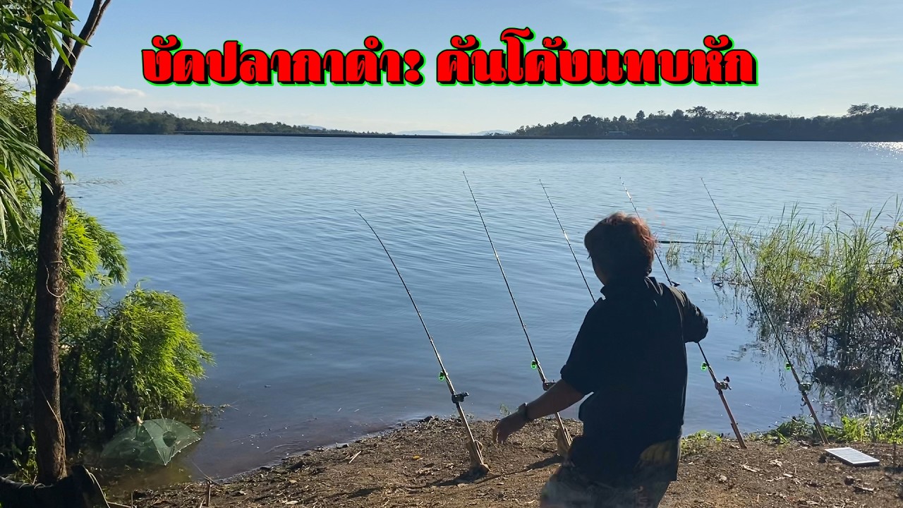 “หนาวก็ต้องงัด! ปลากาดำวันเขื่อนปล่อยน้ำเร็ว โหดทุกวินาที!”