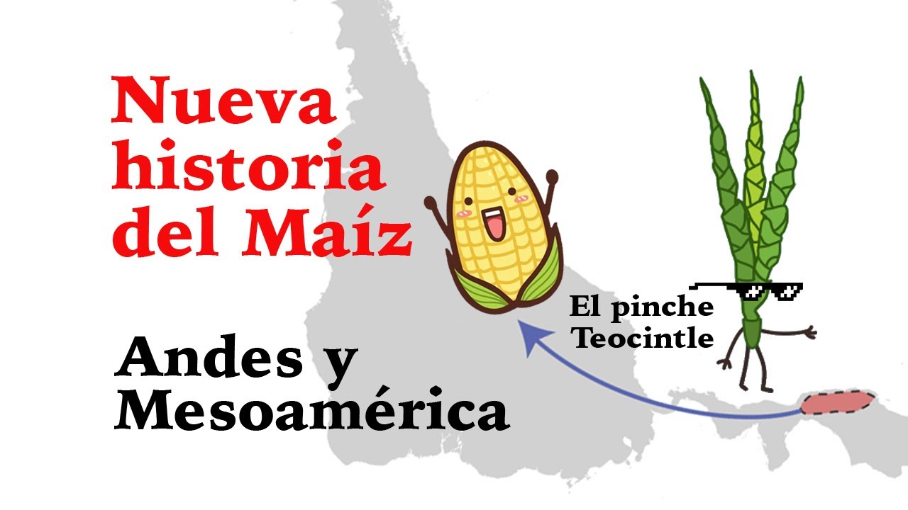 Origen del Maíz o Sara 🌽 - Domesticación andino amazónico