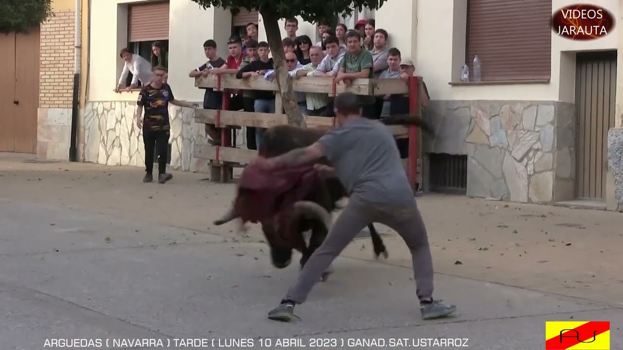 4ª PARTE MOMENTOS TAURINOS 2023