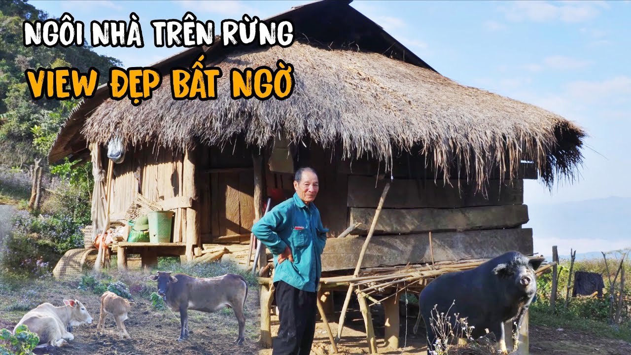 Bỏ phố lên rừng sống hơn 20 năm ở 1 mình trong căn nhà hoang sơ 