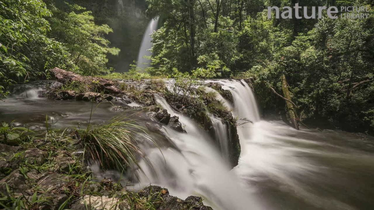 Tracking timelapse over Nandroya Falls, Wet Tropics World Heritage Area, North Queensland, Australia