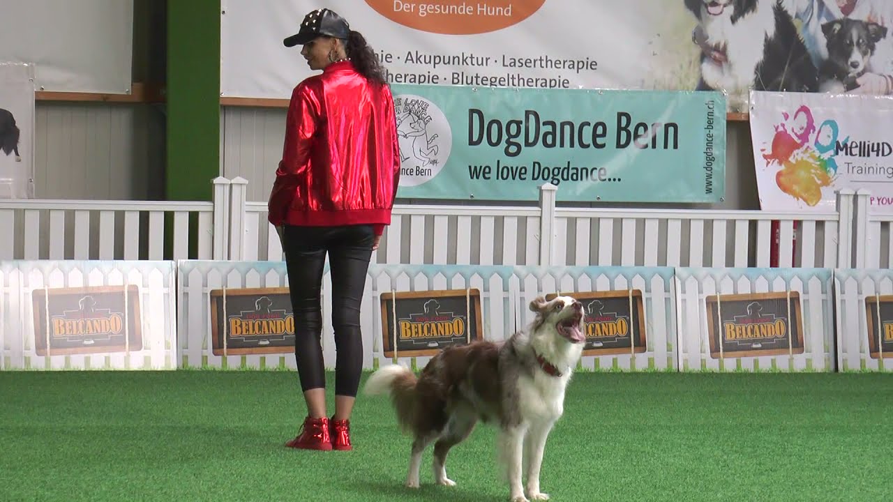 Winner Open european championship 2021 Germany - Lusy Imbergerova & Rysa - Dogdance  freestyle