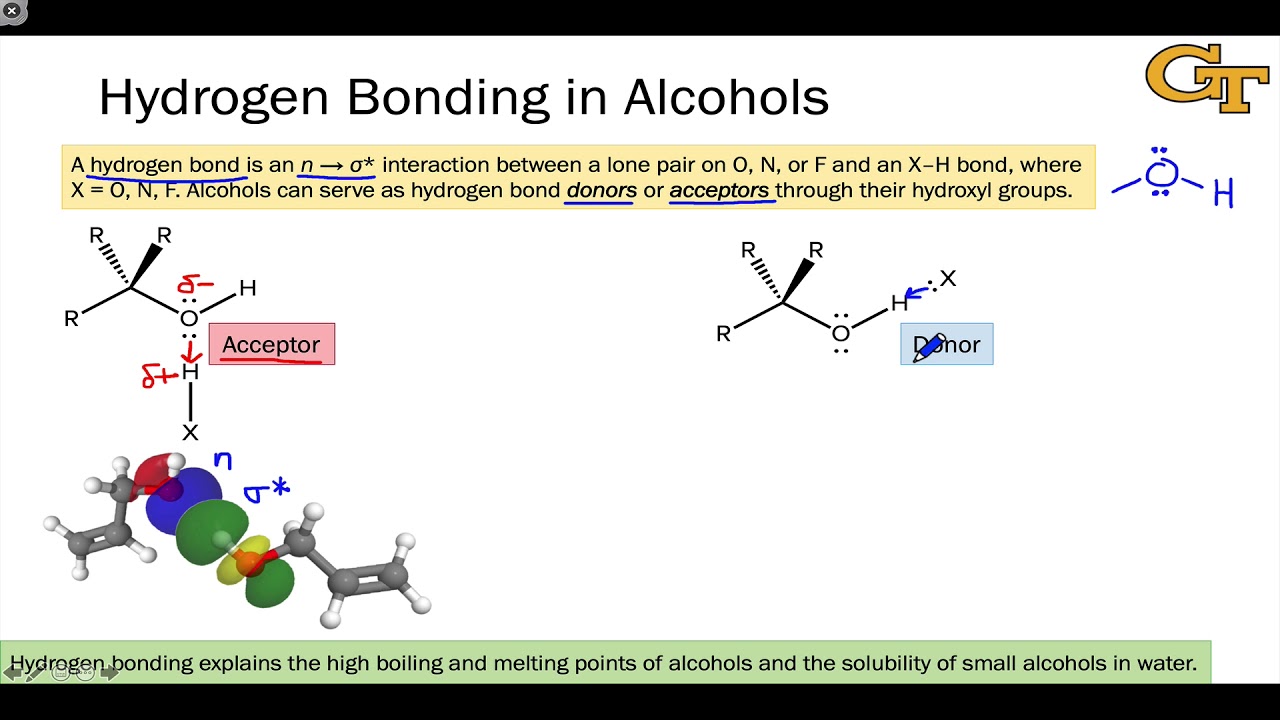 02.02 Hydrogen Bonding in Alcohols